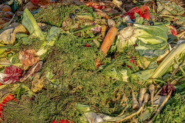 26115 - PREVENCIÓN DE PÉRDIDAS Y DESPERDICIO ALIMENTARIO. MANIPULADOR DE ALIMENTOS
