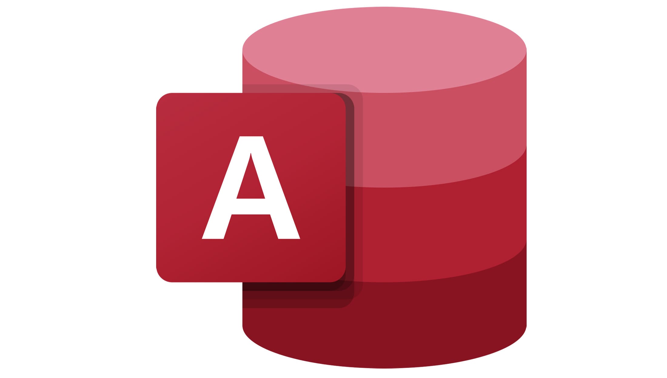 22255 - MICROSOFT ACCESS 2019 (51H)